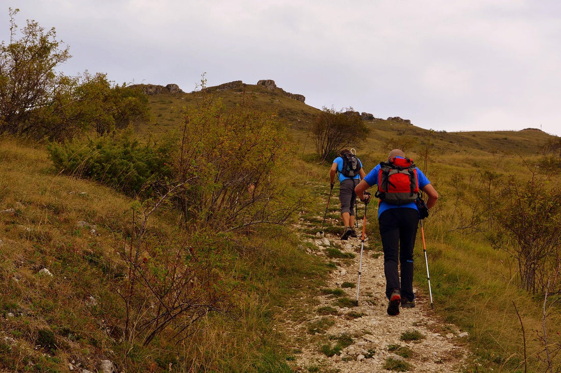 A Hiker’s Guide to Arkansas’ Best Trails