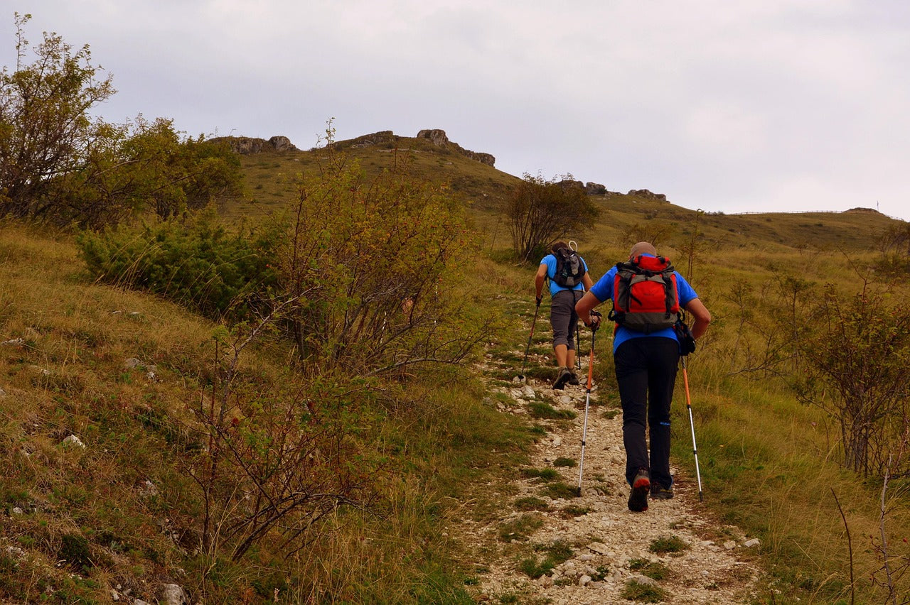 A Hiker’s Guide to Arkansas’ Best Trails